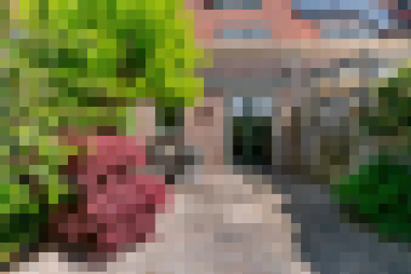 Stijgbeugel 65 Zwaag thumbnail 30