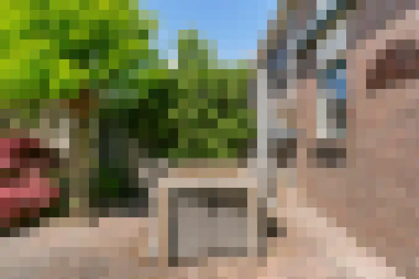 Stijgbeugel 65 Zwaag thumbnail 31