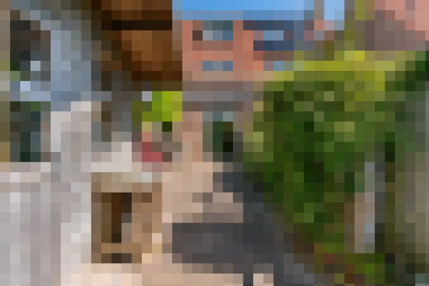 Stijgbeugel 65 Zwaag thumbnail 32
