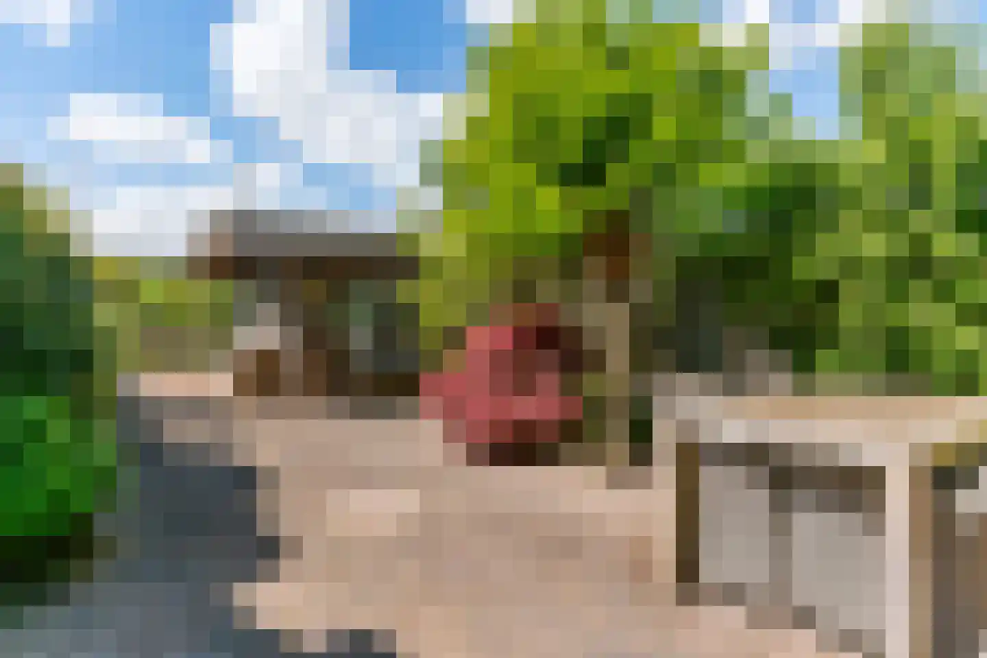 Stijgbeugel 65 Zwaag thumbnail 33
