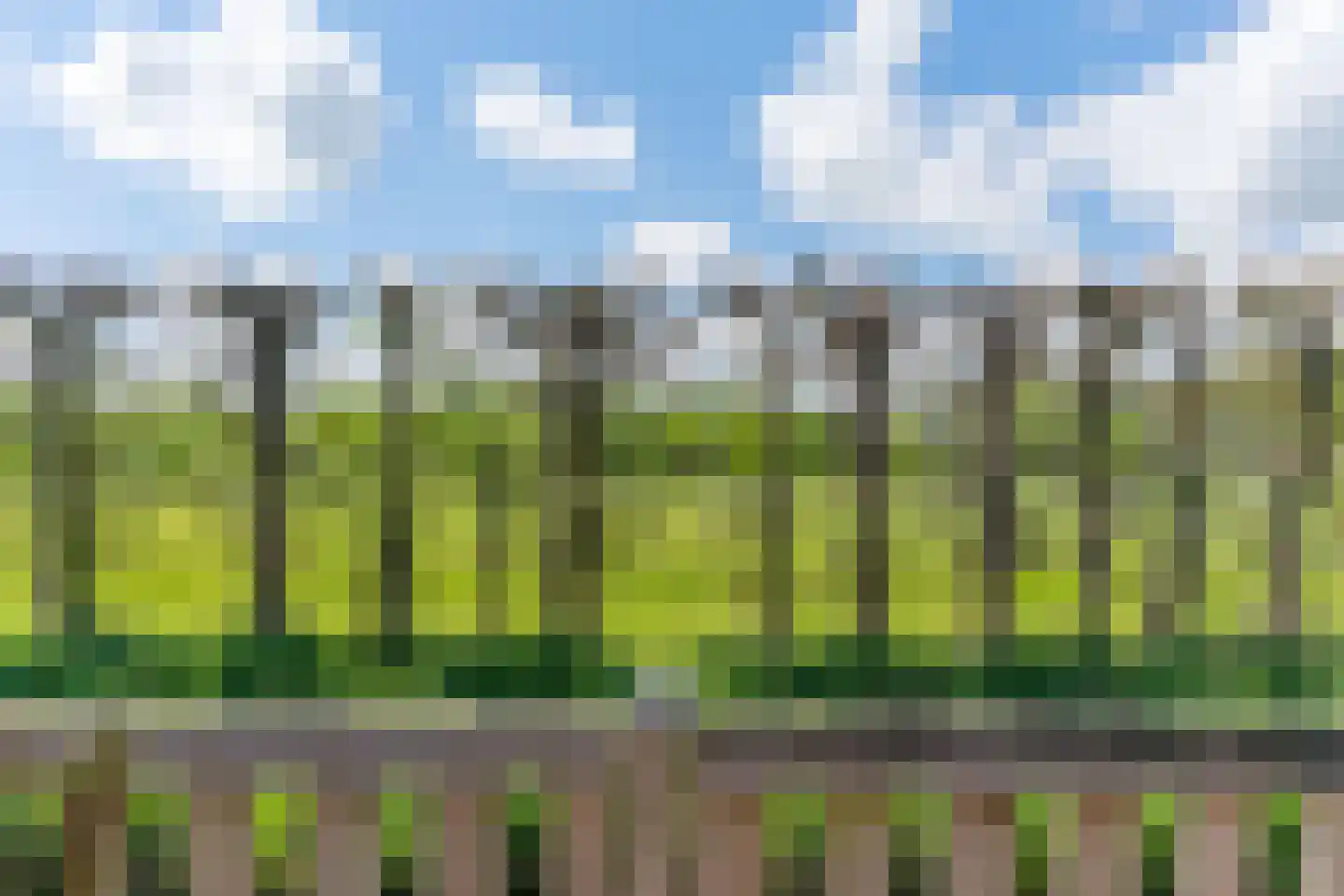 Stijgbeugel 65 Zwaag thumbnail 35