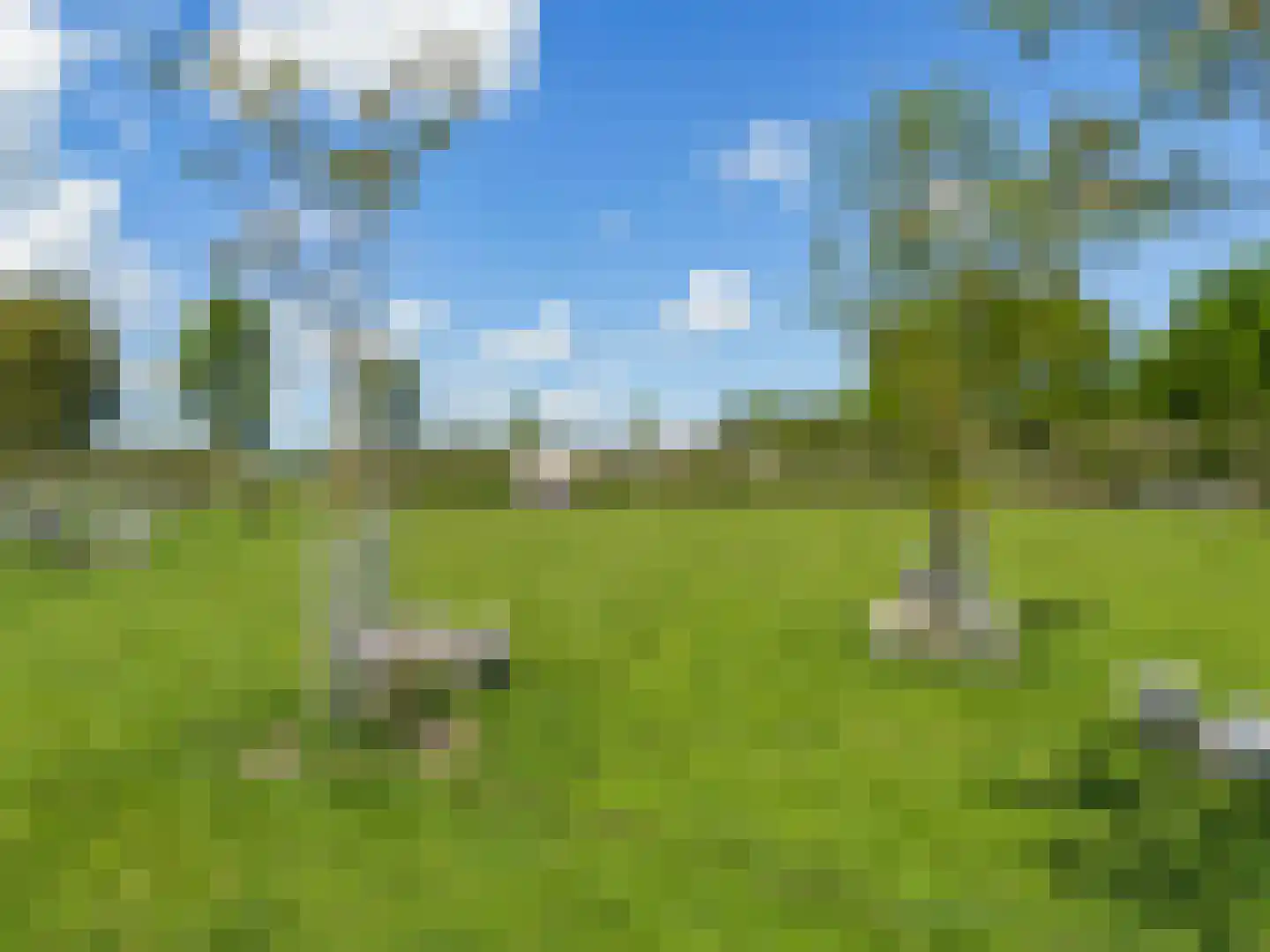 Stijgbeugel 65 Zwaag thumbnail 43