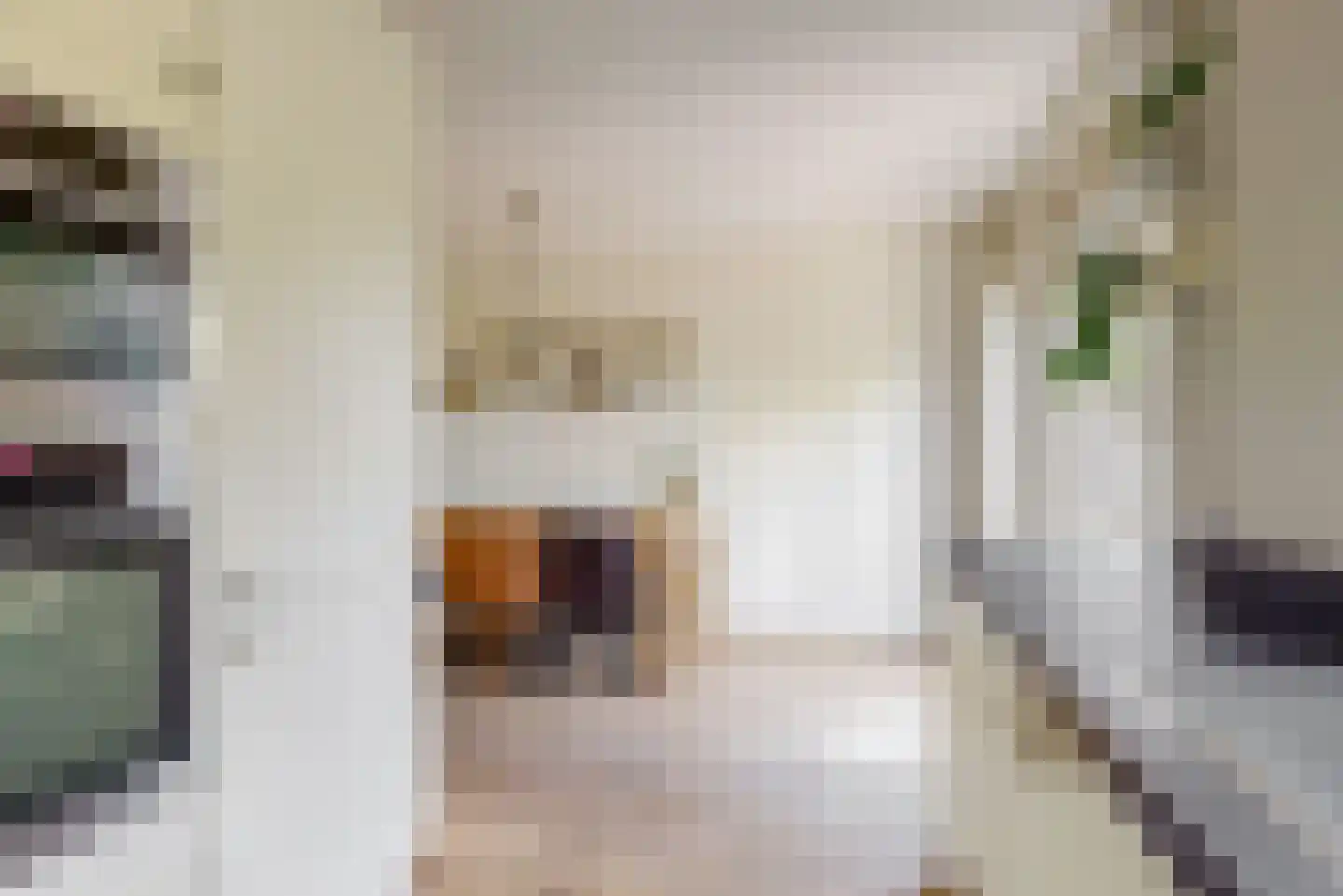 Stijgbeugel 65 Zwaag thumbnail 8