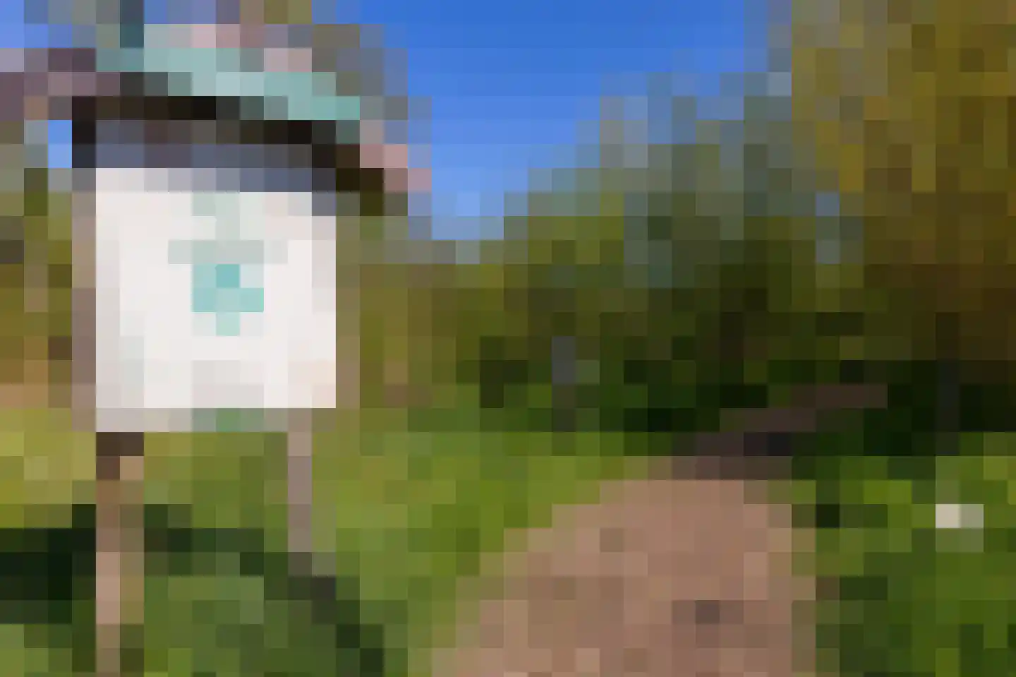 Stijgbeugel 71 Zwaag thumbnail 33