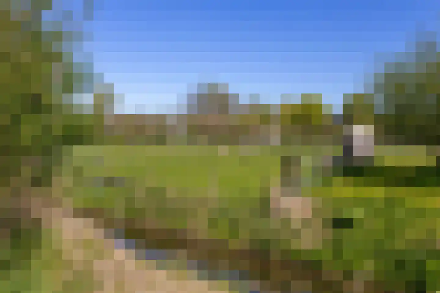 Stijgbeugel 71 Zwaag thumbnail 34