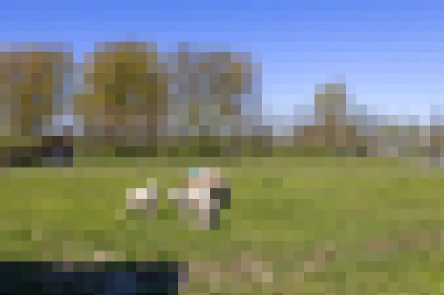 Stijgbeugel 71 Zwaag thumbnail 35
