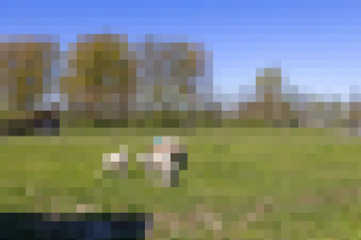 Stijgbeugel 71 Zwaag thumbnail 35