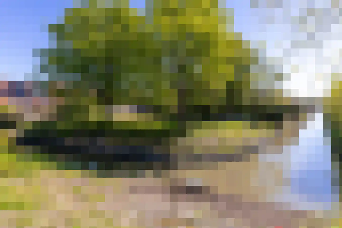 Stijgbeugel 71 Zwaag thumbnail 42