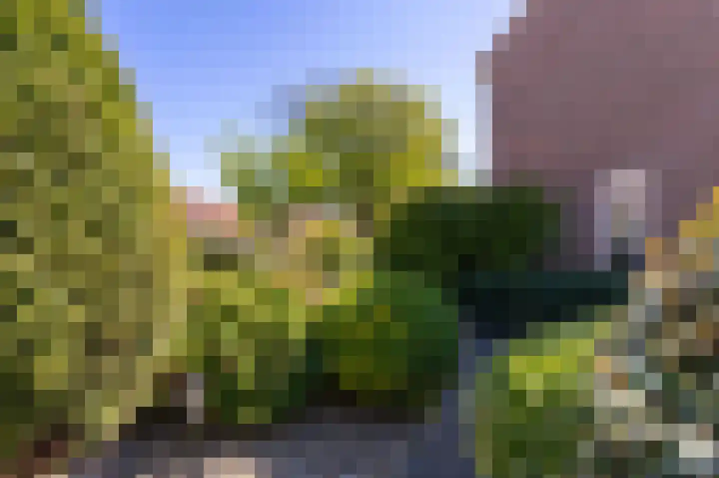 Stijgbeugel 71 Zwaag thumbnail 43