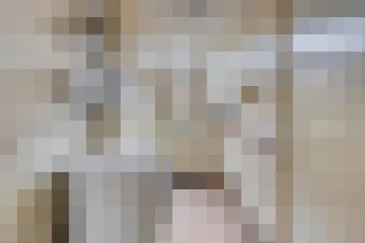 Stijkelstraat 7 Heemskerk thumbnail 6