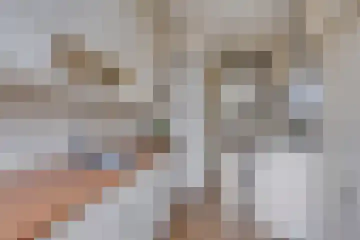 Stijkelstraat 7 Heemskerk thumbnail 8