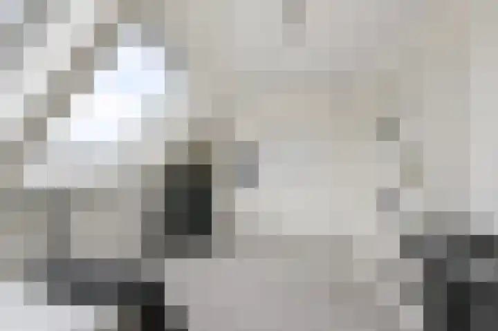 Stijlpad 25 Assendelft thumbnail 19