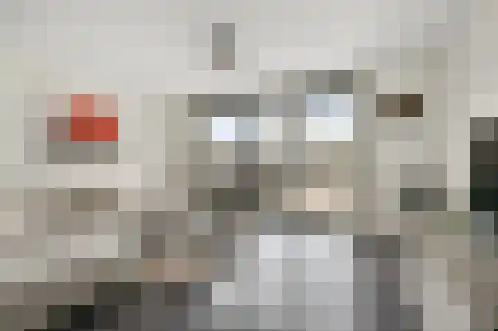 Stijlpad 25 Assendelft foto 2