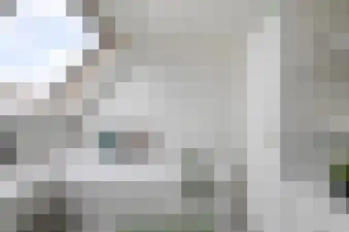 Stijlpad 25 Assendelft thumbnail 23