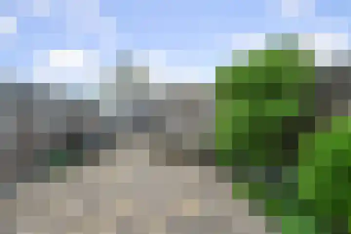 Stijlpad 25 Assendelft thumbnail 26