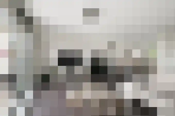 Stijlpad 25 Assendelft thumbnail 6