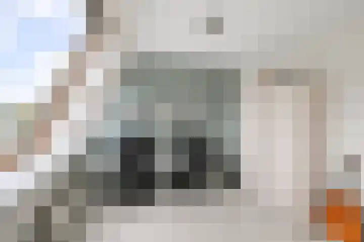 Stijlpad 25 Assendelft thumbnail 8