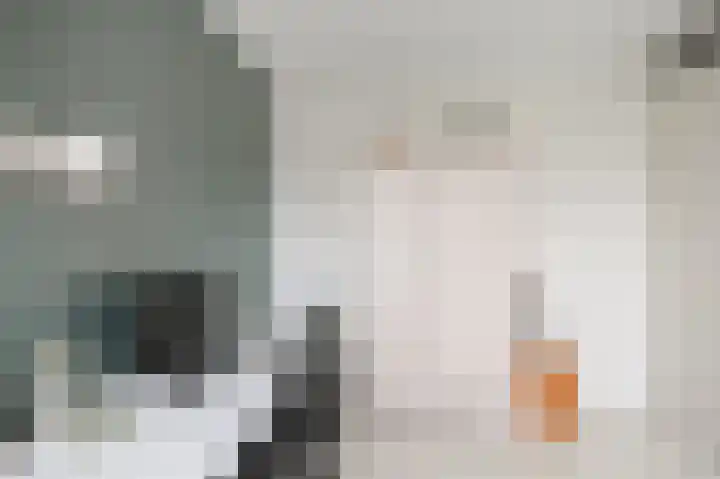Stijlpad 25 Assendelft thumbnail 9