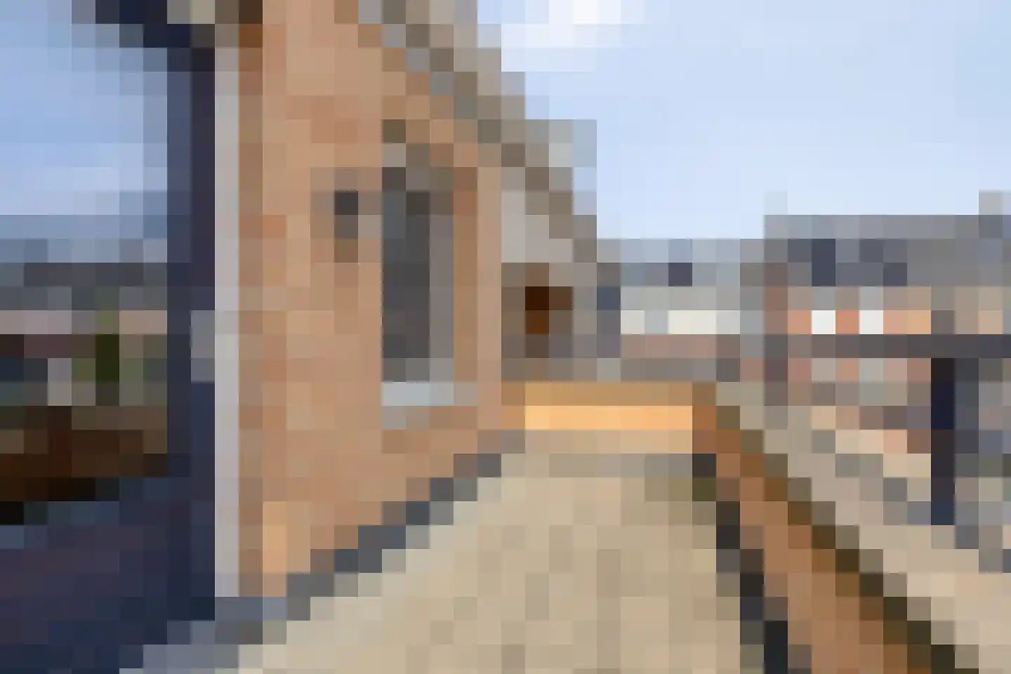 Stijlstraatje 4 Helmond thumbnail 24