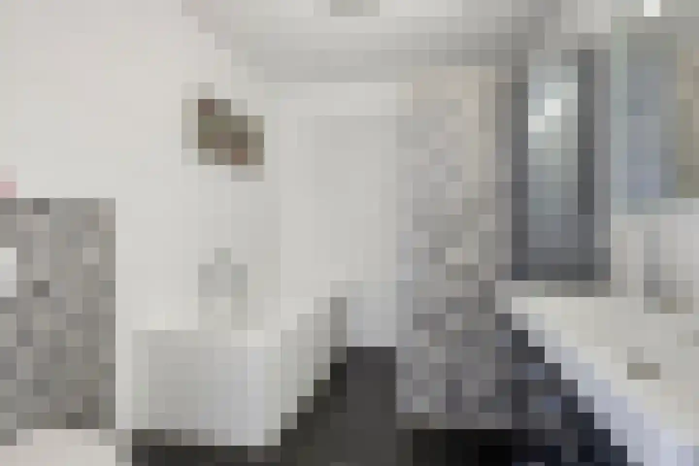Stijlstraatje 4 Helmond thumbnail 27