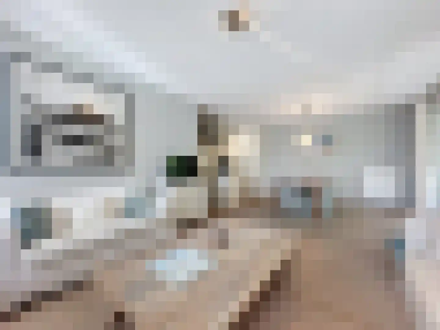 Stijn Albregtsstraat 1 20 Cadzand thumbnail 9