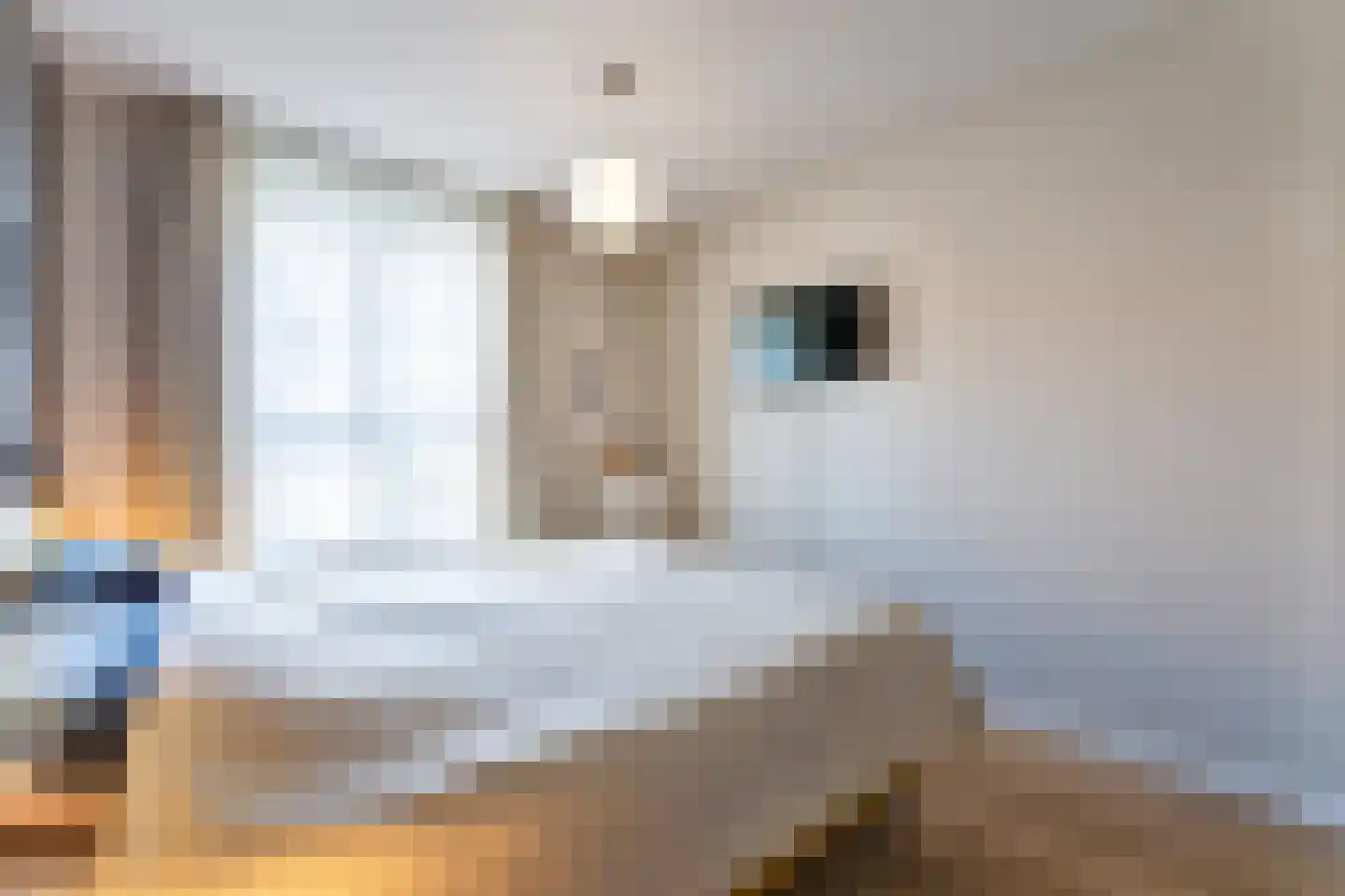 Stijn Albregtsstraat 1 23 Cadzand thumbnail 19