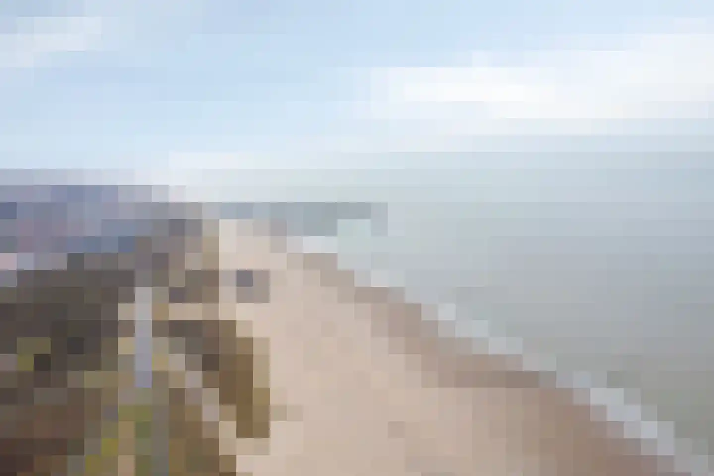 Stijn Albregtsstraat 1 9 Cadzand thumbnail 37