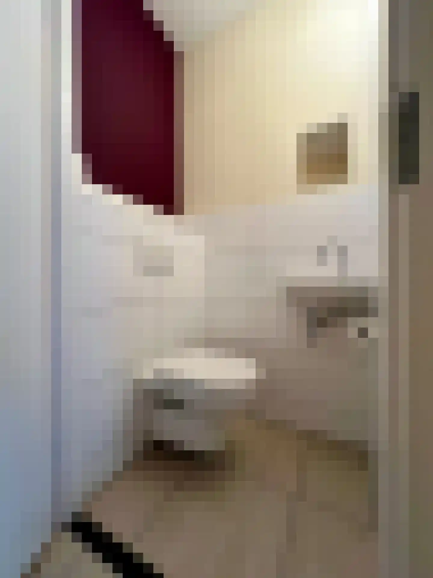 Stijn Albregtsstraat 4 3 Cadzand thumbnail 13