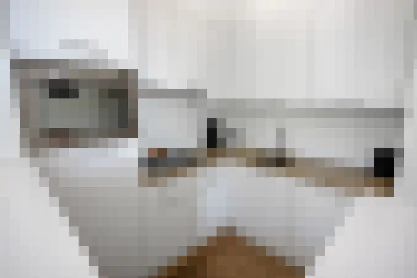 Stijn Albregtsstraat 6 5 Cadzand thumbnail 14