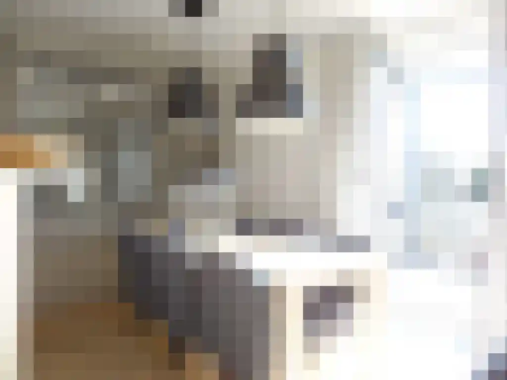 Stijn Albregtsstraat 6 5 Cadzand thumbnail 7