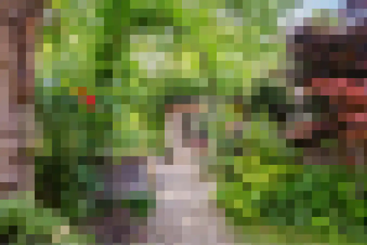 Stijn Streuvelshof 4 Almere thumbnail 27