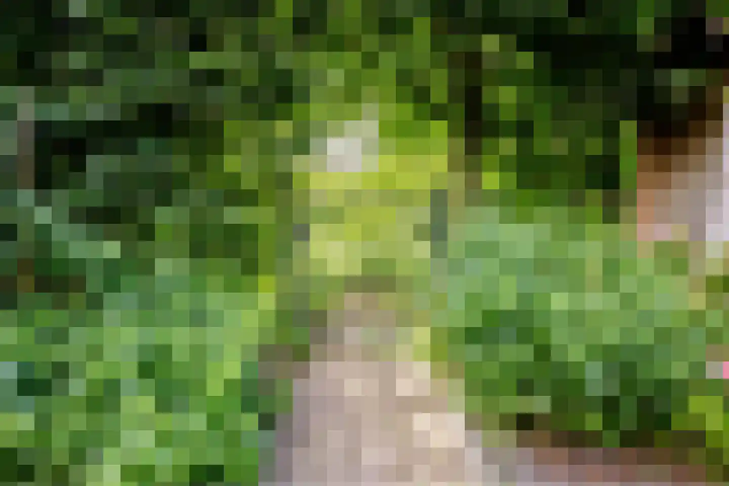 Stijn Streuvelshof 4 Almere thumbnail 30