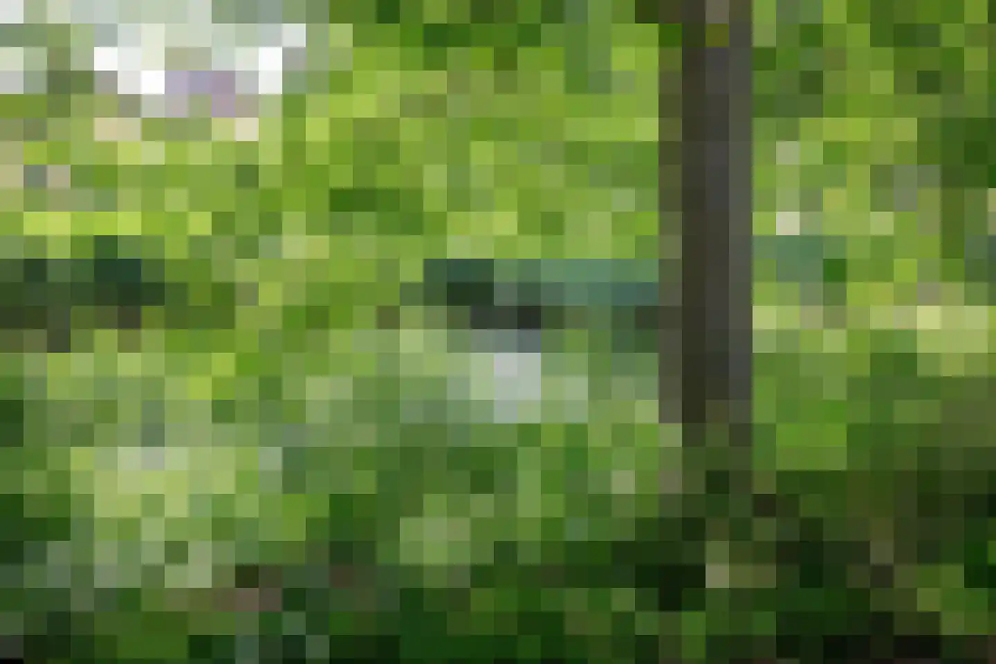 Stijn Streuvelshof 4 Almere thumbnail 31