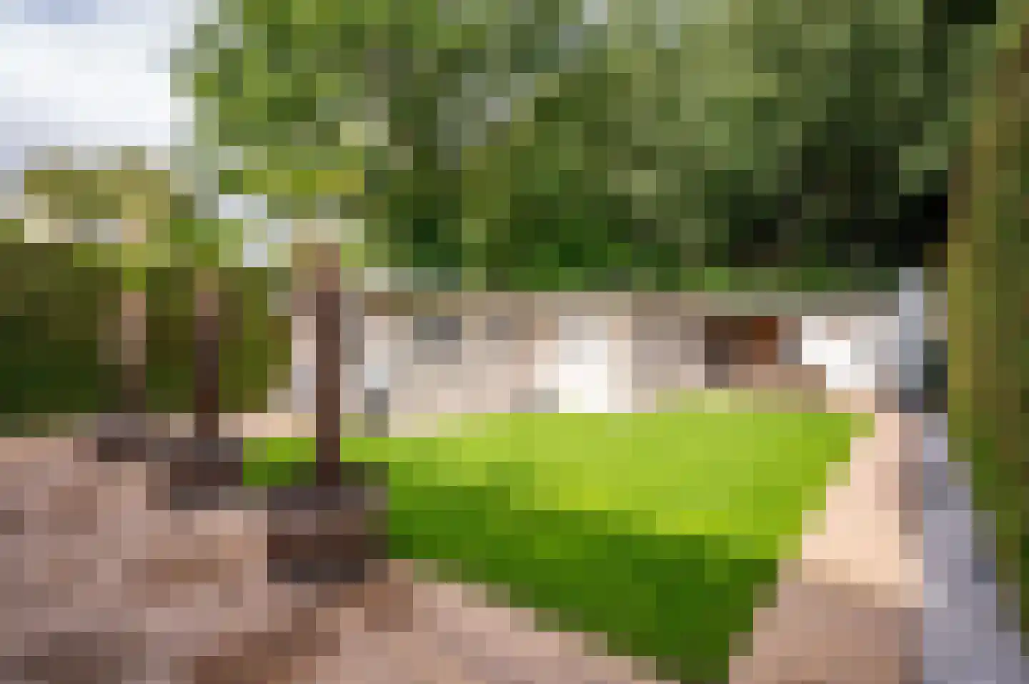 Stijn Streuvelshof 9 Almere thumbnail 31