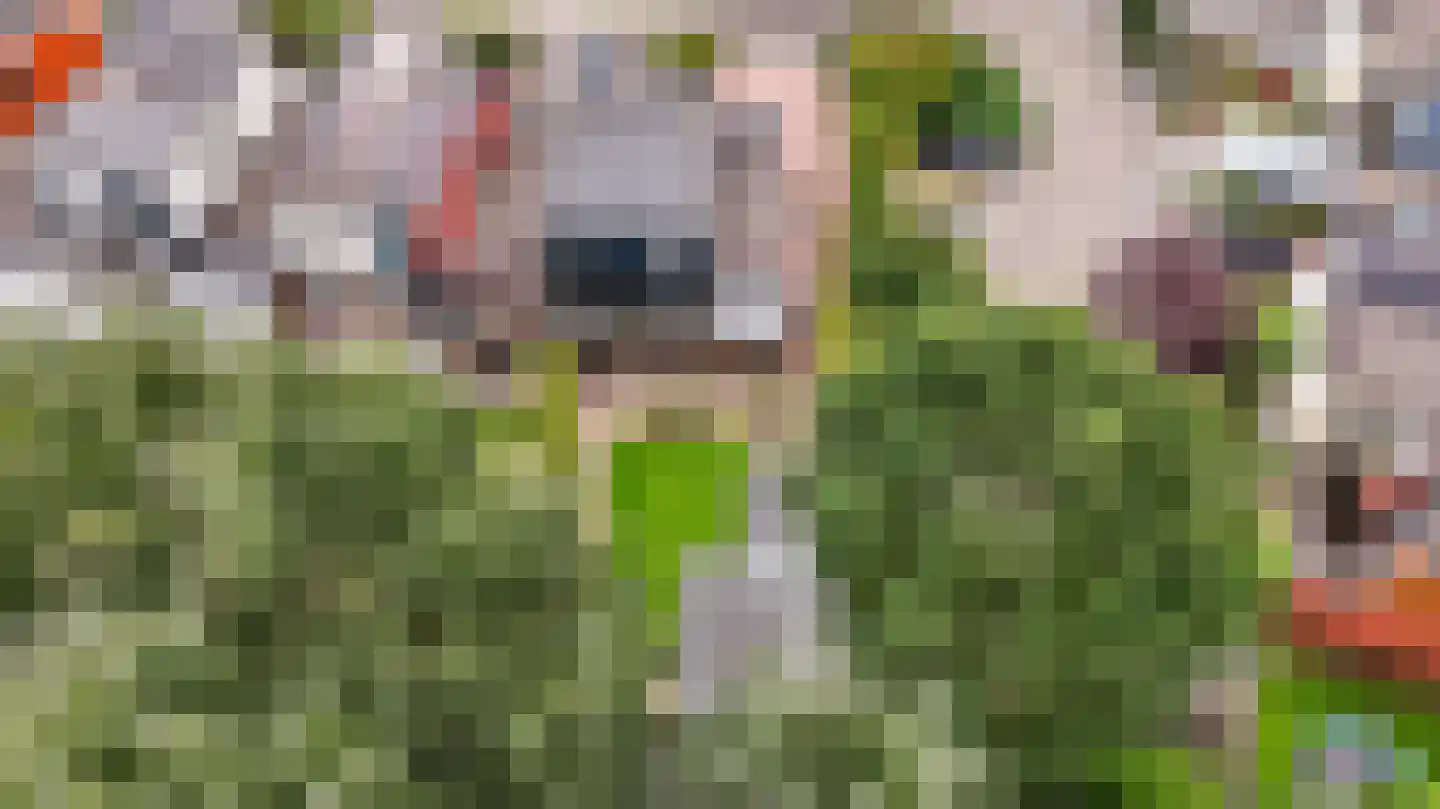 Stijn Streuvelshof 9 Almere thumbnail 41