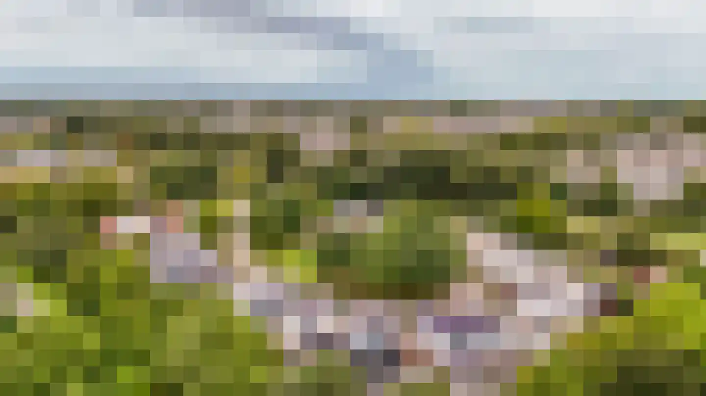 Stijn Streuvelshof 9 Almere thumbnail 45