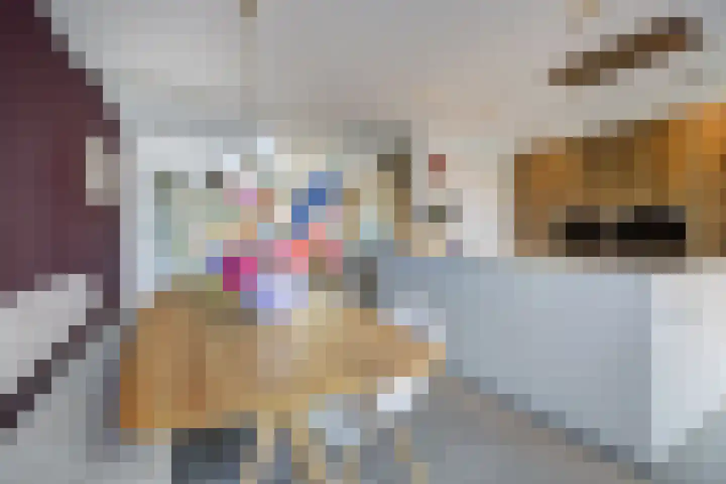 Stijn Streuvelslaan 1 E Etten-Leur thumbnail 16