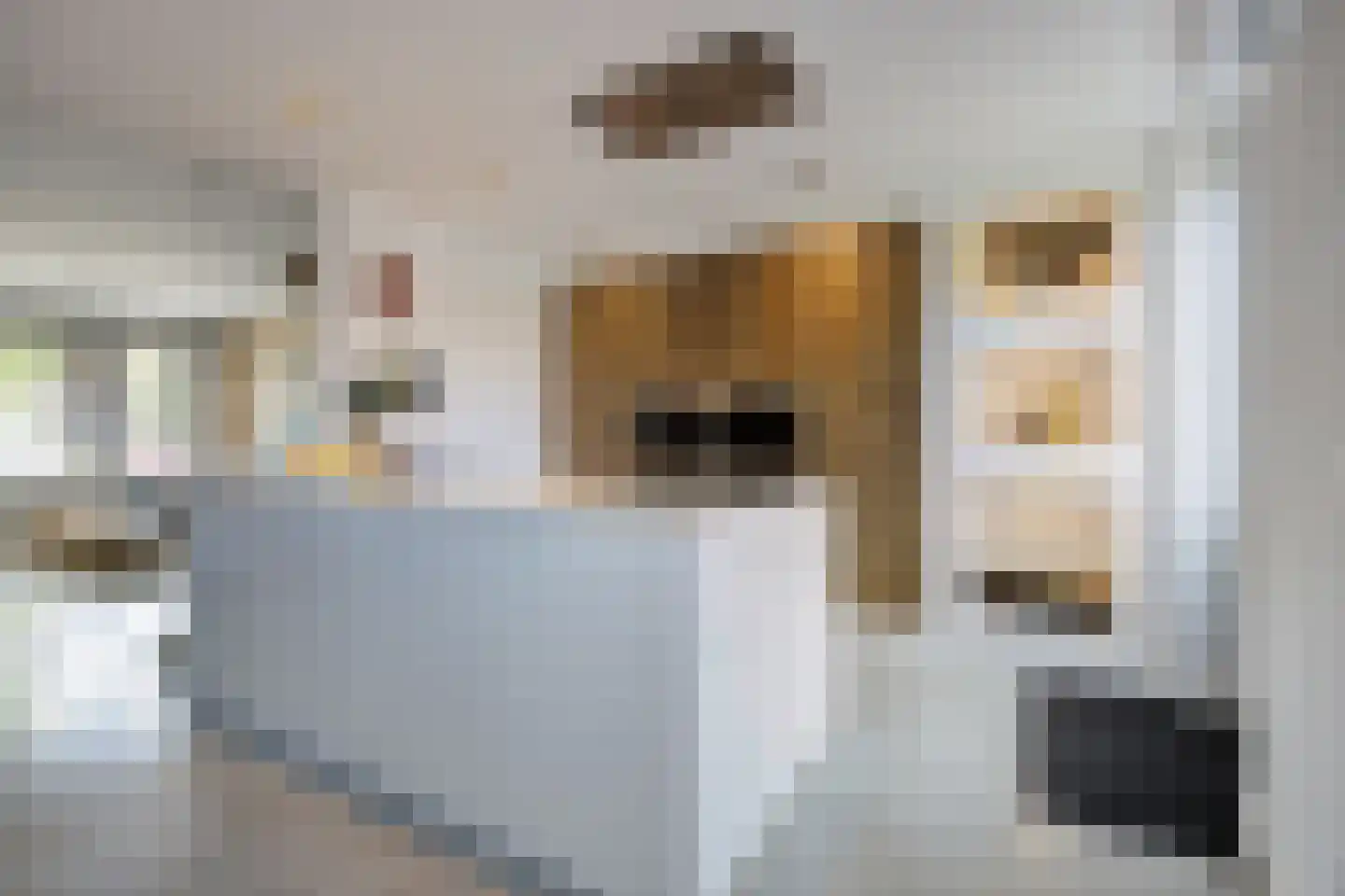 Stijn Streuvelslaan 1 E Etten-Leur thumbnail 17