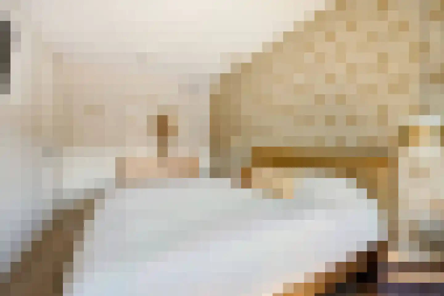 Stijn Streuvelslaan 1 E Etten-Leur thumbnail 25