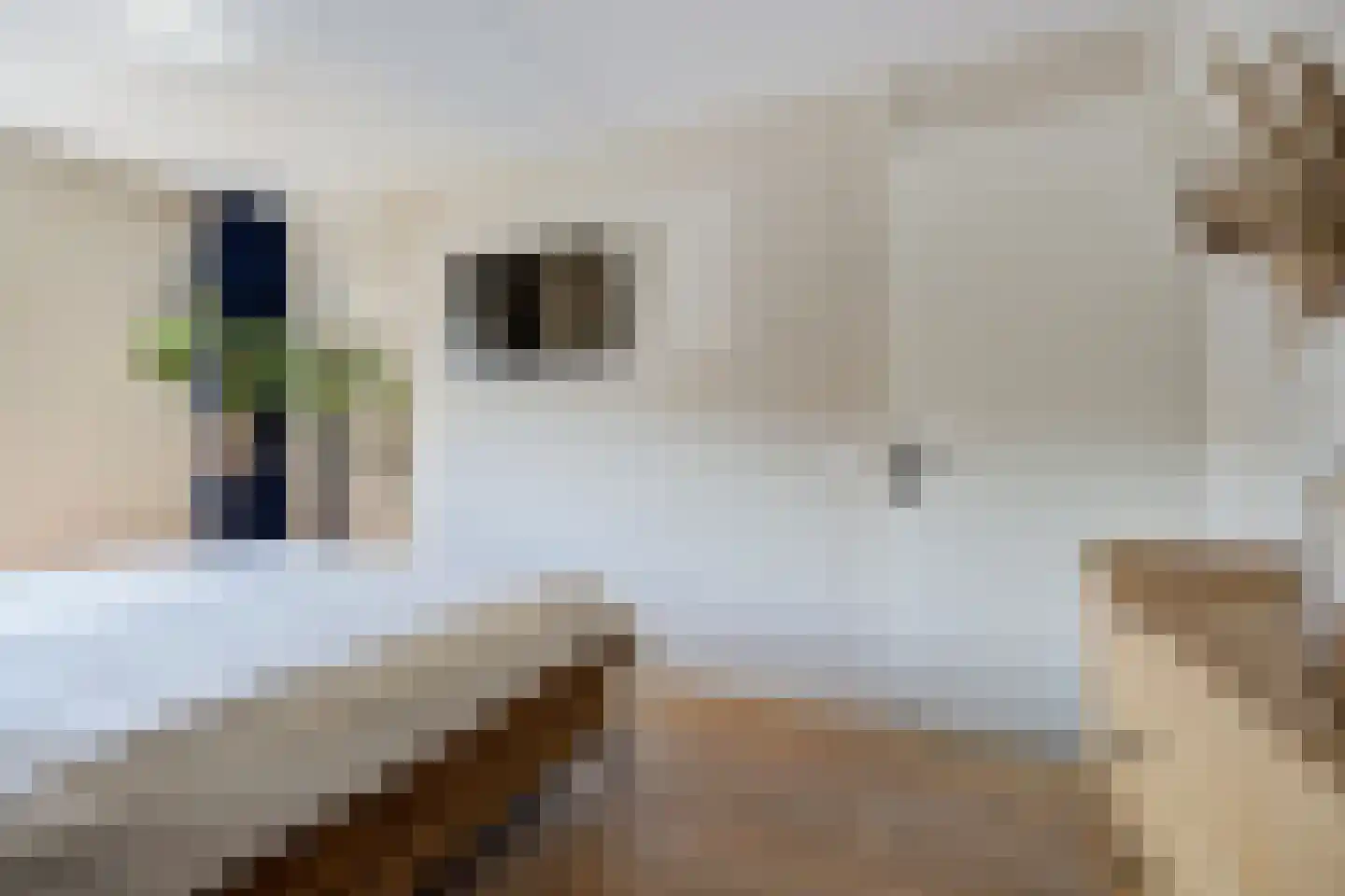 Stijn Streuvelslaan 1 E Etten-Leur thumbnail 26