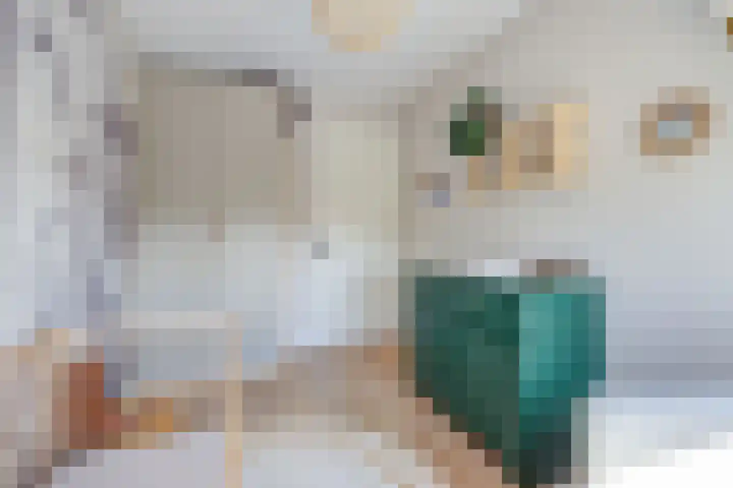 Stijn Streuvelslaan 1 E Etten-Leur thumbnail 30