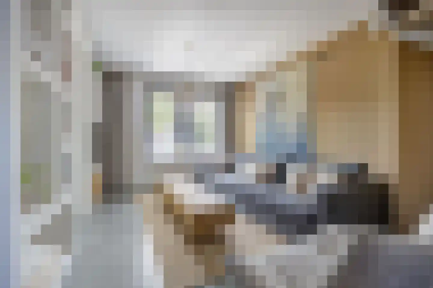 Stijn Streuvelslaan 1 E Etten-Leur thumbnail 9