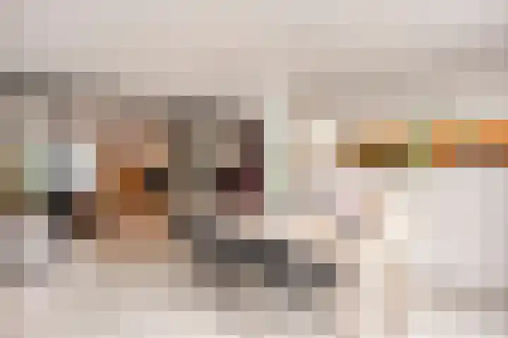 Stijn Streuvelslaan 10 Rosmalen thumbnail 10
