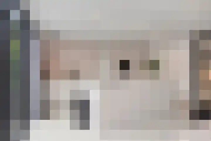 Stijn Streuvelslaan 10 Rosmalen thumbnail 11