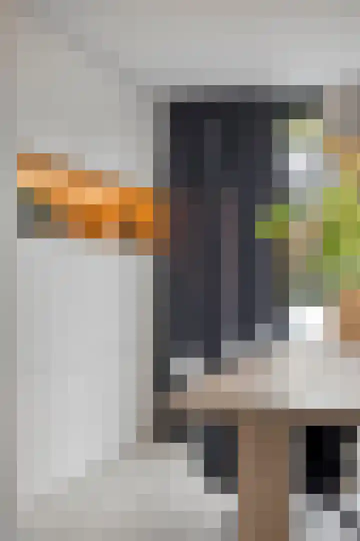 Stijn Streuvelslaan 10 Rosmalen thumbnail 16