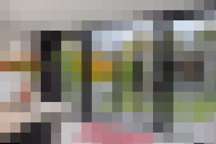 Stijn Streuvelslaan 10 Rosmalen thumbnail 18
