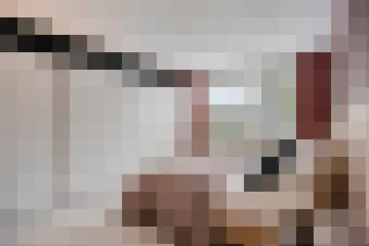 Stijn Streuvelslaan 10 Rosmalen thumbnail 26