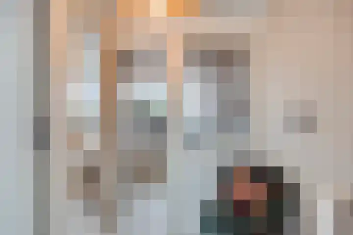 Stijn Streuvelslaan 10 Rosmalen thumbnail 34