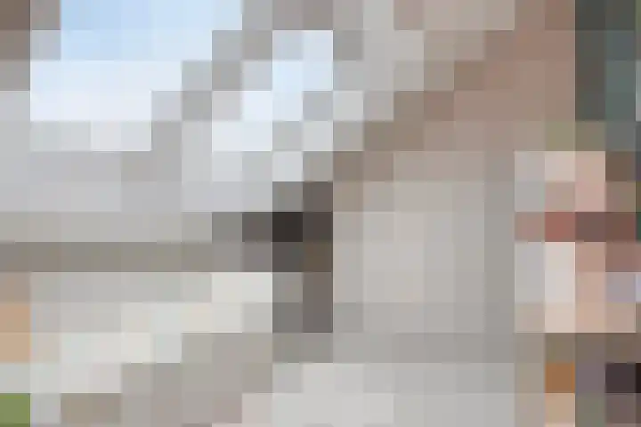 Stijn Streuvelslaan 10 Rosmalen thumbnail 36