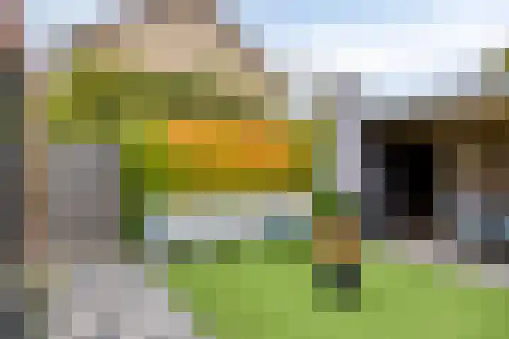 Stijn Streuvelslaan 10 Rosmalen thumbnail 41